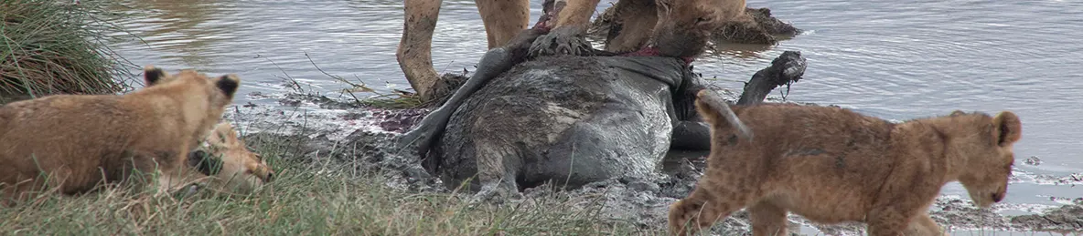Serengeti National Park - Central