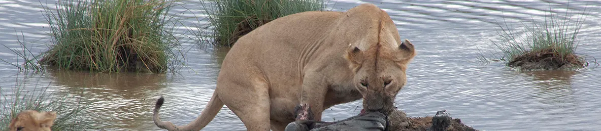 Serengeti National Park - Central