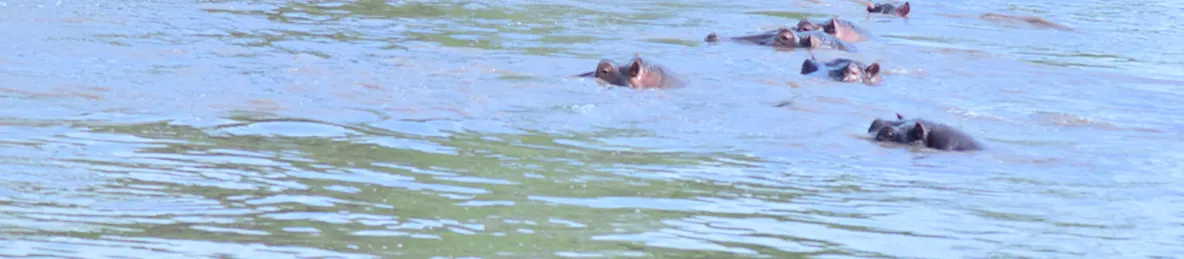 Serengeti National Park - Central