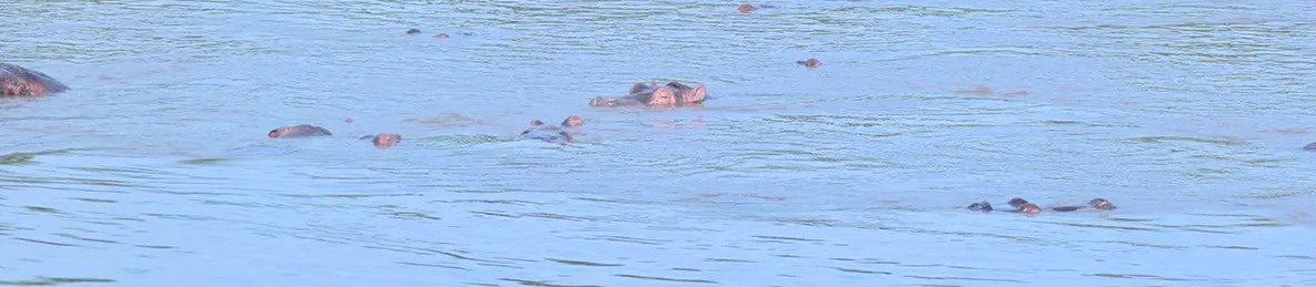 Serengeti National Park - Central