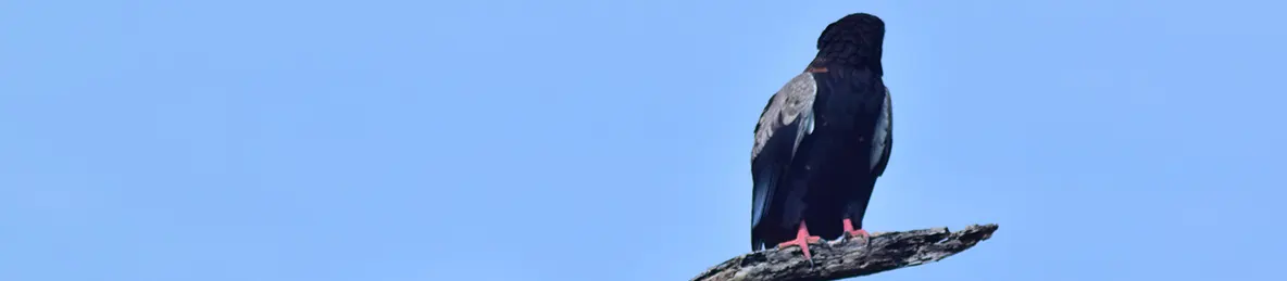 Serengeti National Park - Central