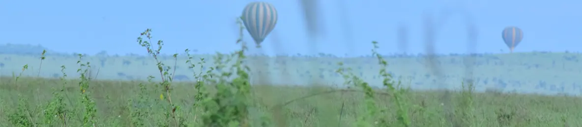 Serengeti National Park - Central