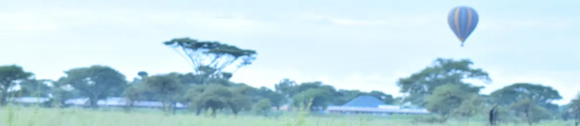 Serengeti National Park - Central