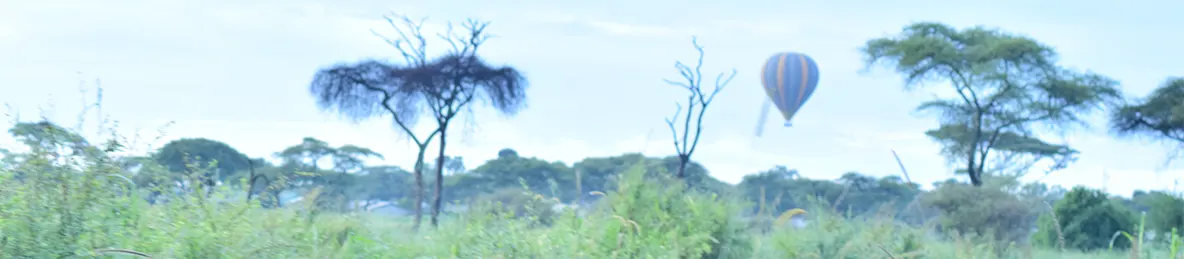 Serengeti National Park - Central