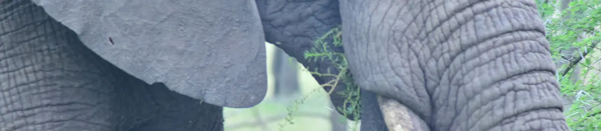 Serengeti National Park - Central