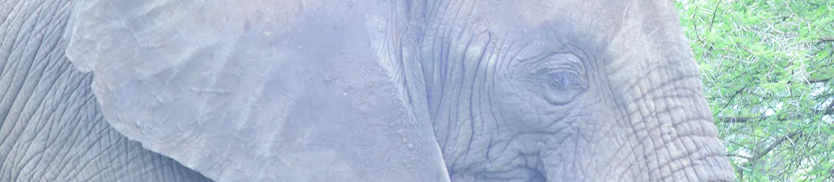 Serengeti National Park - Central