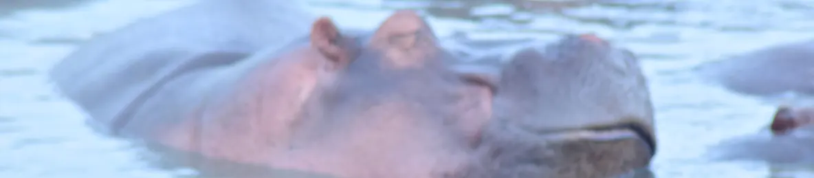 Serengeti National Park - Central