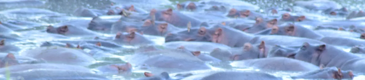 Serengeti National Park - Central