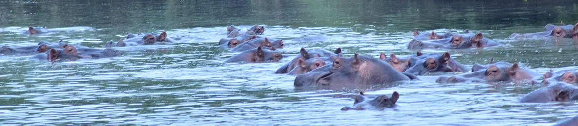 Serengeti National Park - Central