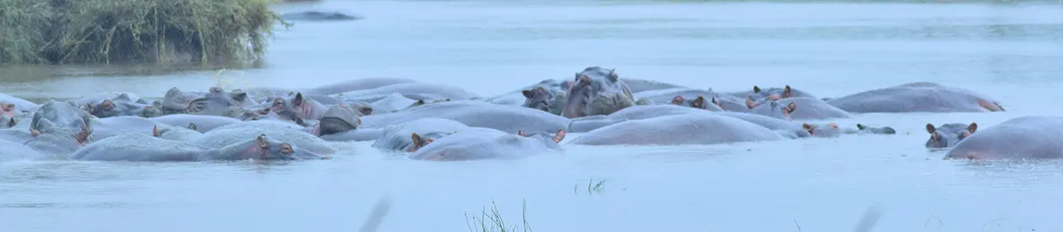 Serengeti National Park - Central