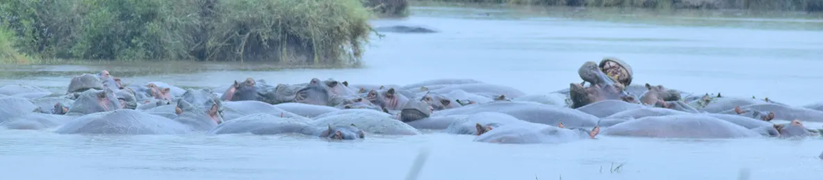 Serengeti National Park - Central