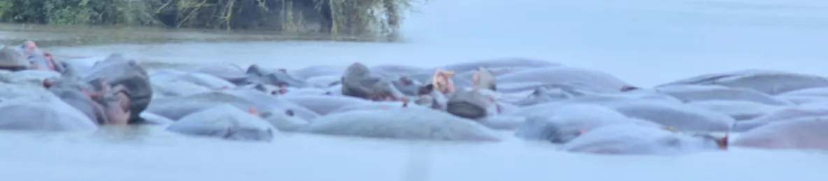 Serengeti National Park - Central