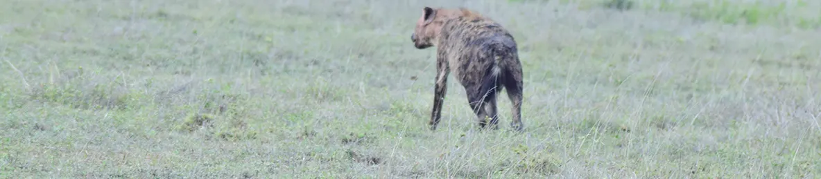 Serengeti National Park - Central