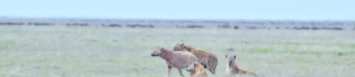 Serengeti National Park - Central