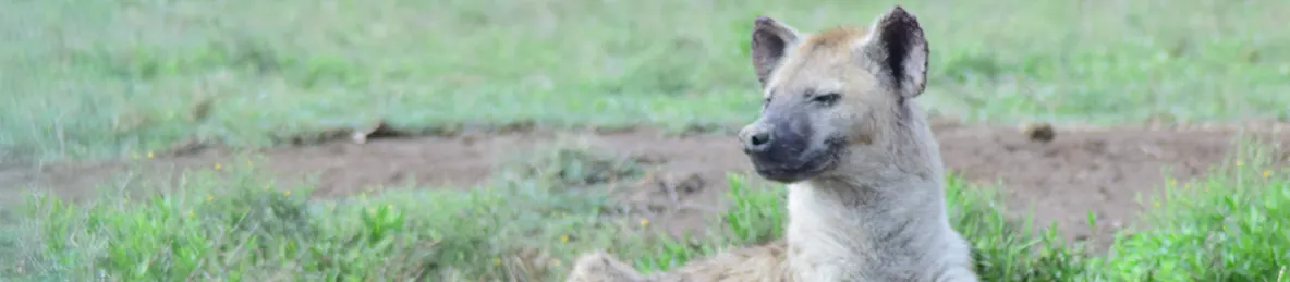 Serengeti National Park - Central