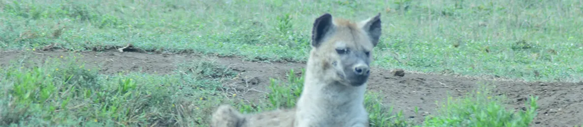 Serengeti National Park - Central