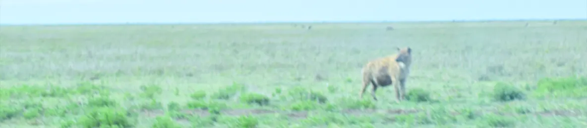 Serengeti National Park - Central