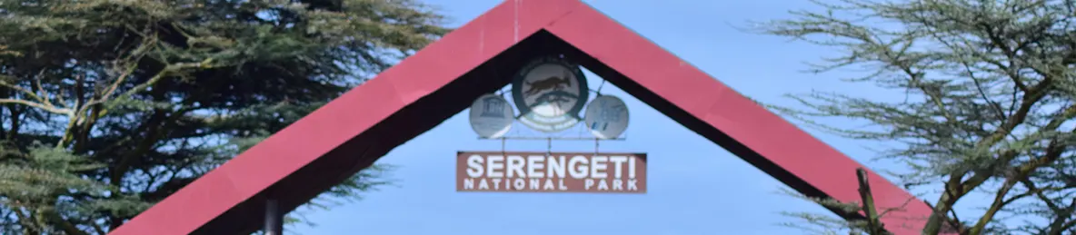Serengeti National Park - Centralseriously 