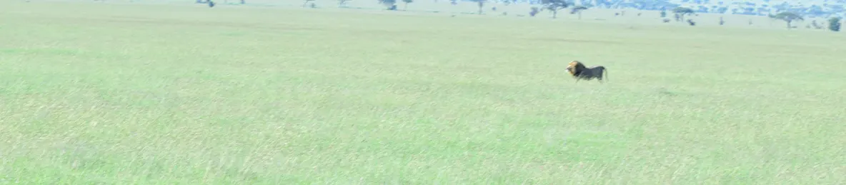 Serengeti National Park - Central