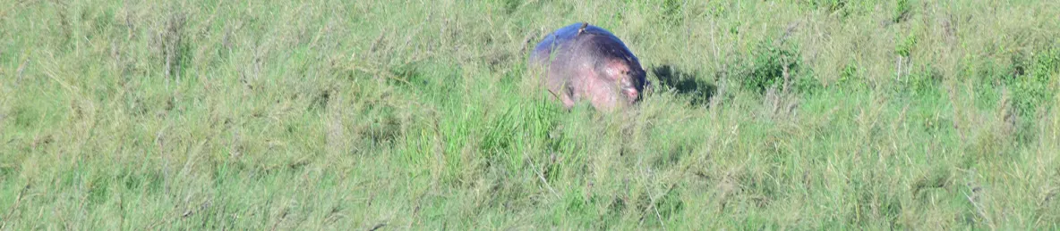 Serengeti National Park - Central