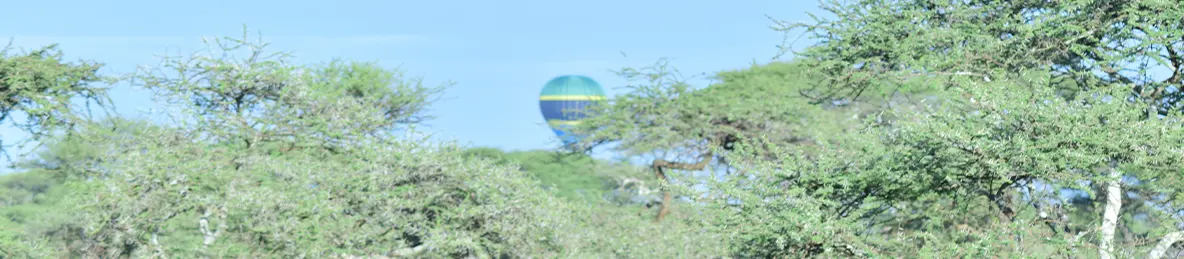 Serengeti National Park - Central