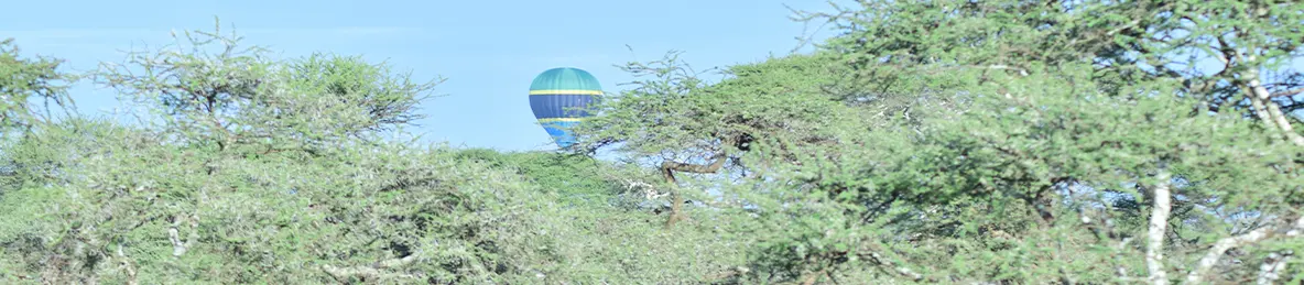 Serengeti National Park - Central