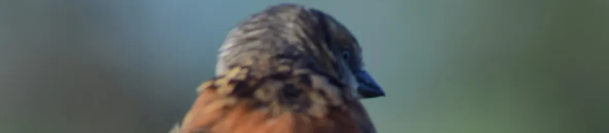 Serengeti National Park - Central