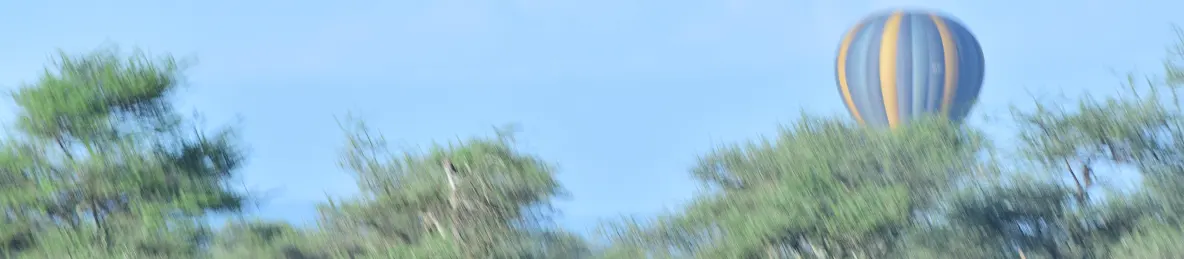 Serengeti National Park - Central