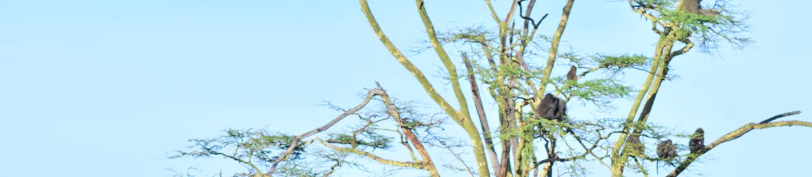 Serengeti National Park - Central