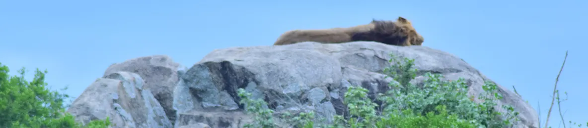 Serengeti National Park - Central