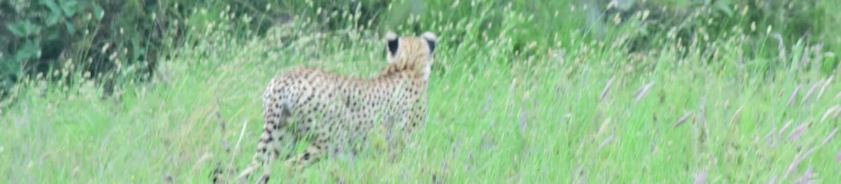 Serengeti National Park - Central
