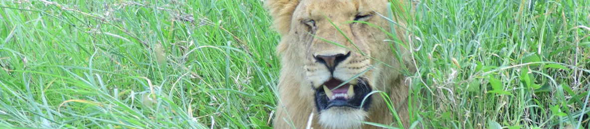 Serengeti National Park - Central