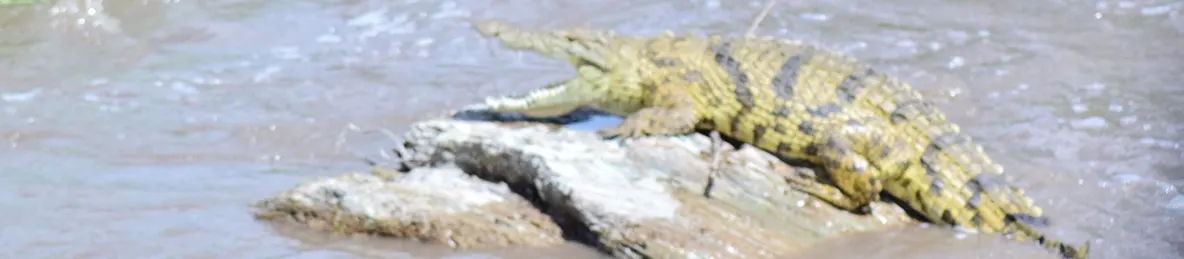 Serengeti National Park - Central