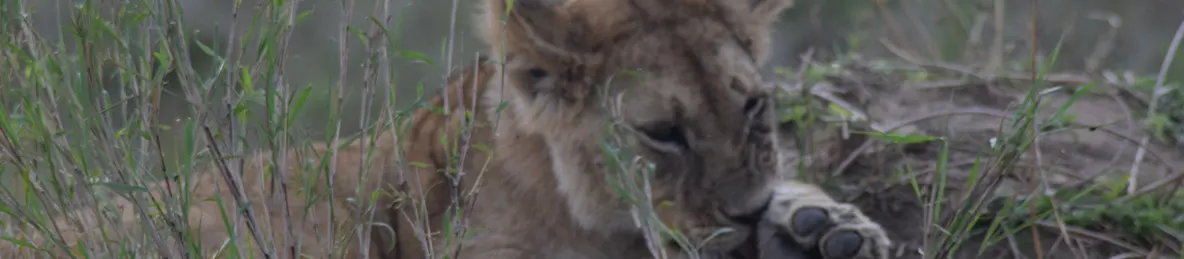 Serengeti National Park - Central