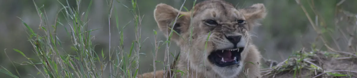 Serengeti National Park - Central