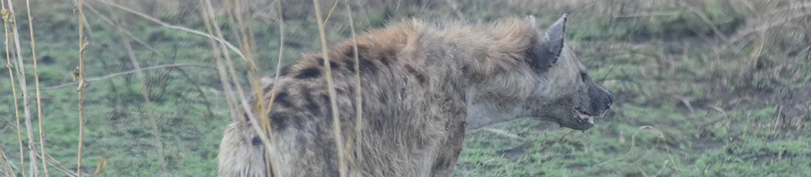 Serengeti National Park - Central