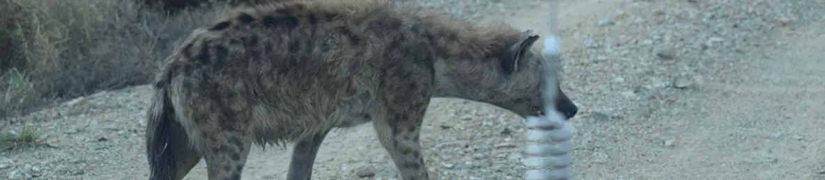 Serengeti National Park - Central