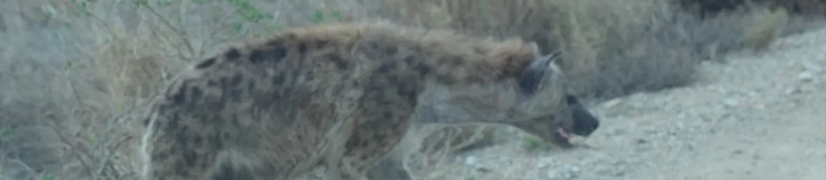 Serengeti National Park - Central