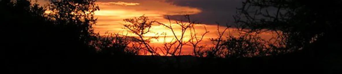 Serengeti National Park - Central