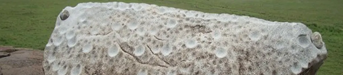 Serengeti National Park - Central