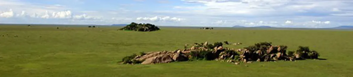 Serengeti National Park - Central