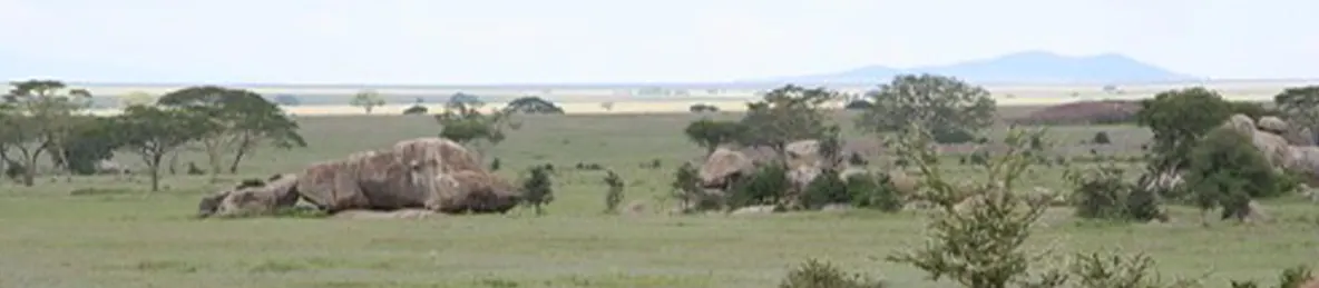 Serengeti National Park - Central