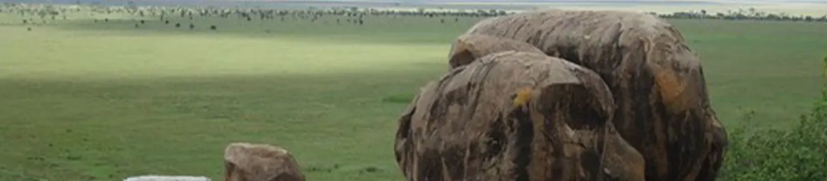 Serengeti National Park - Central