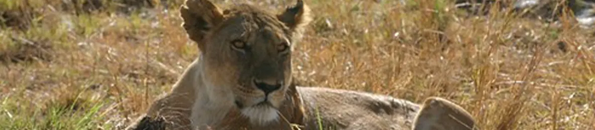 Serengeti National Park - Central
