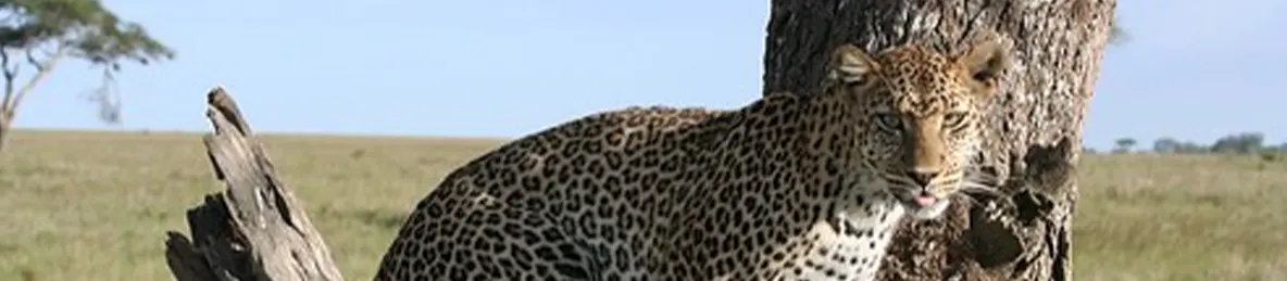 Serengeti National Park - Central