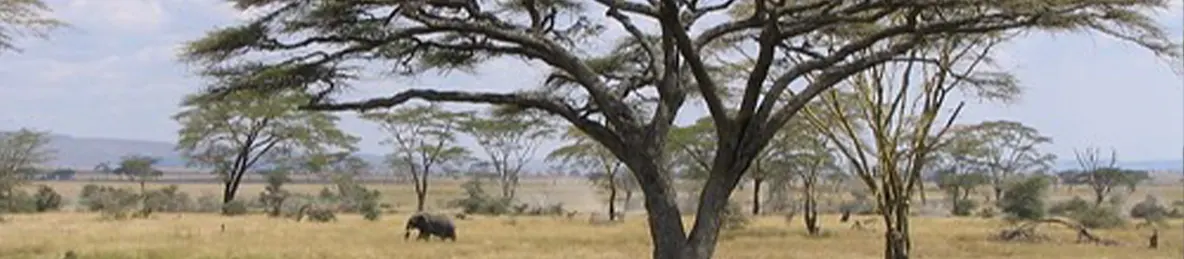 Serengeti National Park - Central