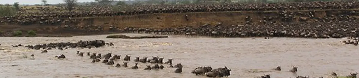 Serengeti National Park - Central