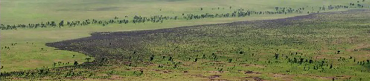 Serengeti National Park - Central