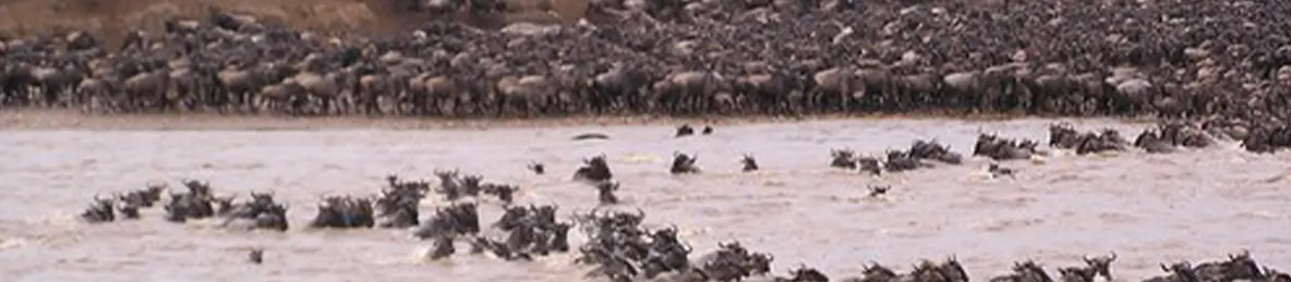 Serengeti National Park - Central