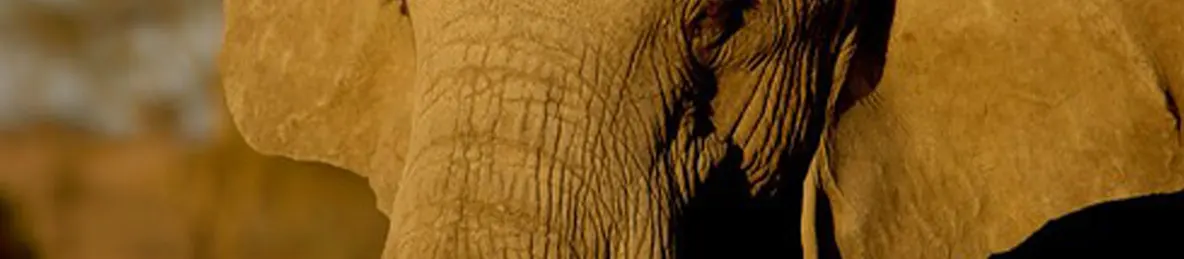 Serengeti National Park - Central